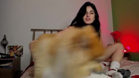 Snapshot of hollyshit_ chatting on December 2024 03:49:02 AM hollyshit_ online show from December 2024 03:49:02 AM