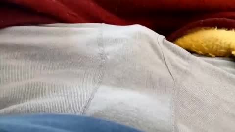 holycannoli123 online show from February 2026 03:49:02 PM