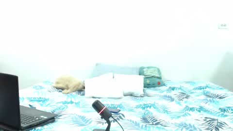 Snapshot of holycode chatting on February 2025 10:57:01 AM Holycode online show from February 2025 10:57:01 AM