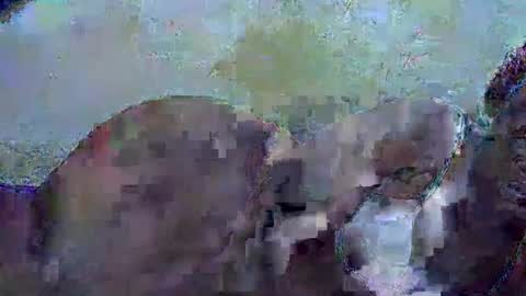 Snapshot of honey_sunshiny chatting on February 2026 06:51:01 AM honey_sunshiny online show from February 2026 06:51:01 AM