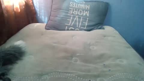 Honeybut72 online show from September 2025 09:59:02 PM