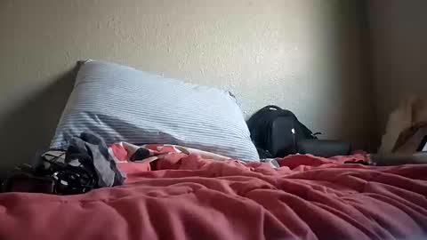 hongdong online show from February 2025 04:32:02 PM