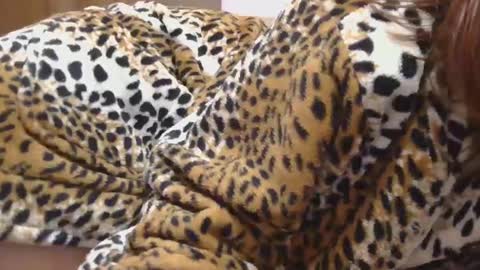 Serena online show from February 2025 10:20:02 PM