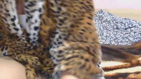 Serena online show from March 2025 02:43:02 PM