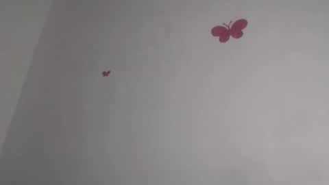 Iris online show from October 2025 12:55:01 AM