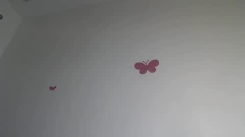 Iris online show from January 2026 07:28:02 PM