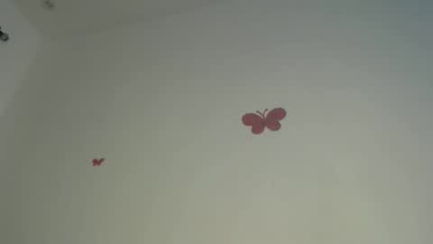 Iris online show from April 2026 07:48:01 PM