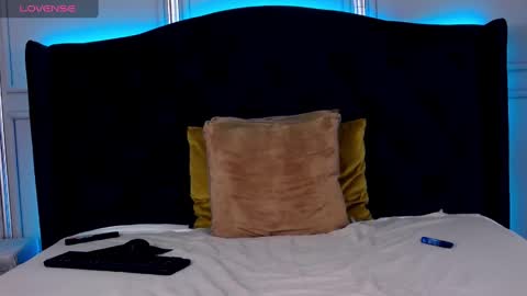 Snapshot of hornygirllx chatting on February 2025 12:21:01 AM AshlineKatte online show from February 2025 12:21:01 AM