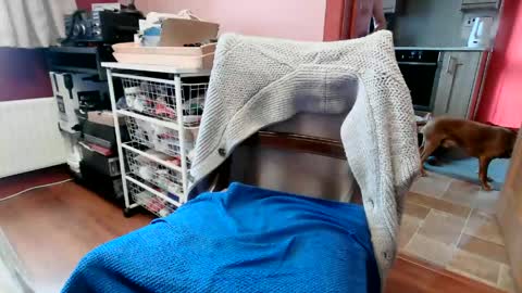 Snapshot of hornypenis127 chatting on June 2026 09:14:01 AM hornypenis127 online show from June 2026 09:14:01 AM
