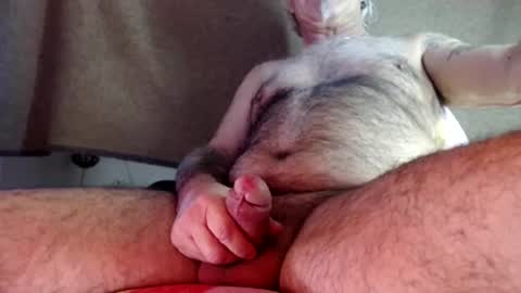 hornyswissman online show from December 2024 02:54:02 PM