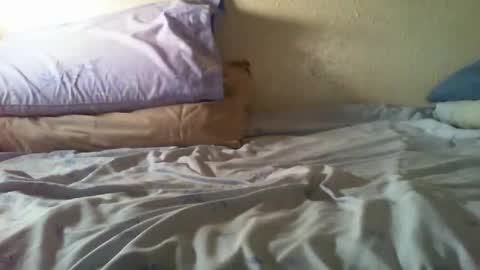 Bitch for abuse online show from May 2026 06:37:02 PM