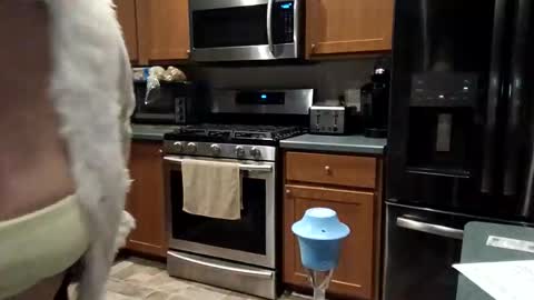 hotboobs117 online show from April 2026 04:50:01 AM