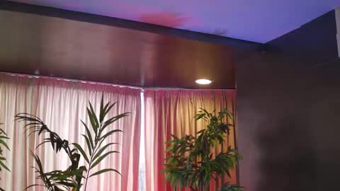 Anais online show from February 2026 10:03:02 AM