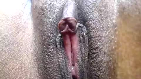 hotcake4567 online show from February 2026 12:09:02 AM