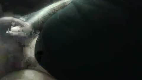 hotcream259 online show from January 2025 03:04:02 AM