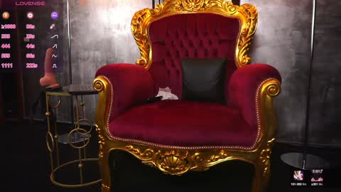 Snapshot of hotdesy_ chatting on December 2024 09:43:02 AM Mistress online show from December 2024 09:43:02 AM