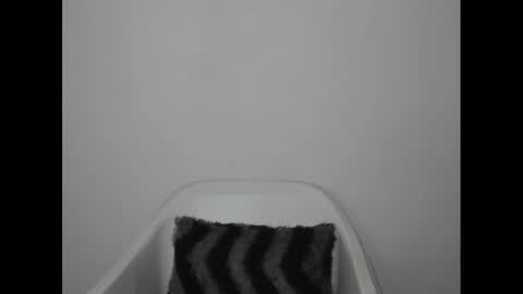 hotjessie0 online show from January 2025 04:30:02 AM