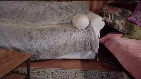 Betty boob online show from October 2025 08:21:02 PM