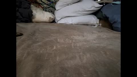 hotrox6942 online show from September 2025 09:58:01 AM