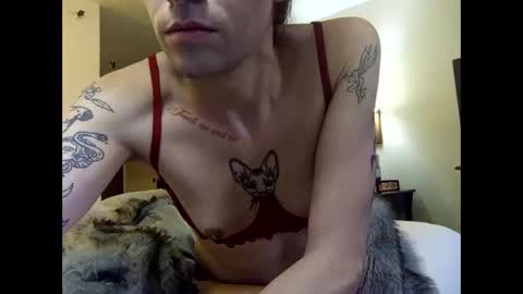 Lucky  online show from February 2026 04:11:02 PM