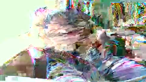 Hottop 1981 online show from April 2026 04:39:01 PM