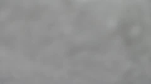 Slutty little female cat online show from January 2026 05:33:01 AM