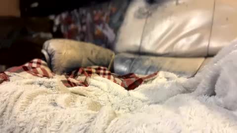 ask me online show from October 2025 03:06:02 AM