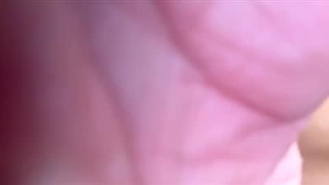 htwnswangn9 online show from March 2026 04:07:02 AM