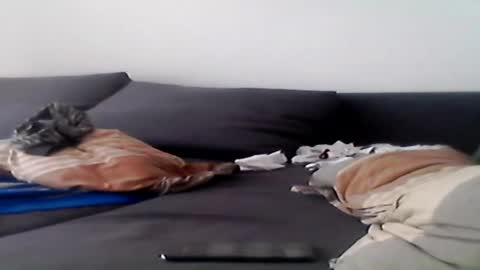 hubikush22 online show from August 2026 04:42:02 PM