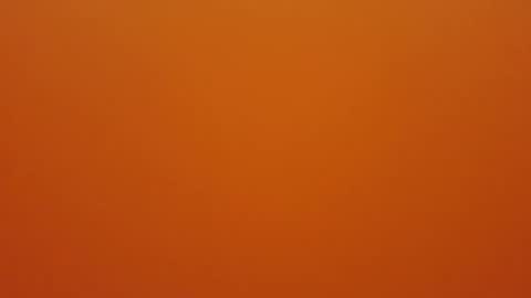 hundeleine online show from December 2025 09:03:01 AM