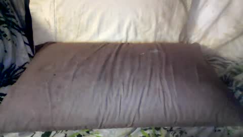 Snapshot of hungc2c420 chatting on June 2026 08:02:02 AM hung420boner online show from June 2026 08:02:02 AM