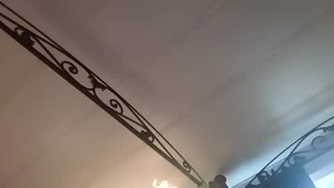 hungryforpussy1234567890 online show from December 2024 04:16:02 PM