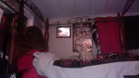 hungryforpussy1234567890 online show from January 2025 07:46:02 AM