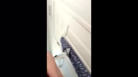 huskey300 online show from January 2026 04:32:01 PM