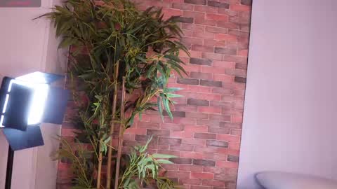 Lucy online show from February 2025 09:05:02 AM