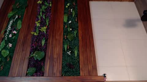 Ian Davis online show from March 2025 07:54:02 PM