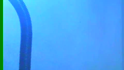 Snapshot of ian_zaenzz chatting on December 2024 10:35:02 PM Samuel igsamuelnoguera 1333 online show from December 2024 10:35:02 PM