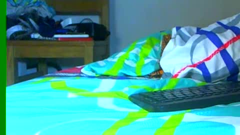 Snapshot of ian_zaenzz chatting on December 2024 10:02:02 PM Samuel igsamuelnoguera 1333 online show from December 2024 10:02:02 PM
