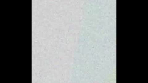 Snapshot of icdaryl2 chatting on February 2025 04:03:02 AM ICDeez online show from February 2025 04:03:02 AM