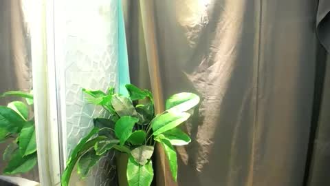 Heart online show from February 2026 06:35:01 PM