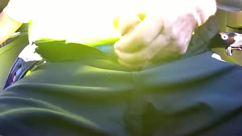 iflash4u online show from June 2026 02:49:01 PM