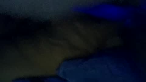 igcognito647033 online show from March 2026 07:51:01 PM