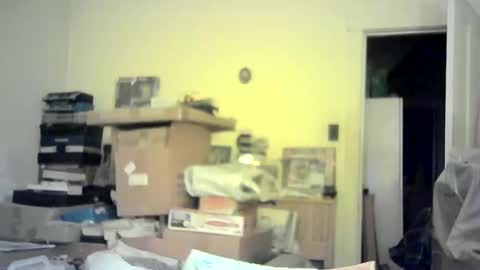 ignoredlittlestloser online show from January 2025 08:35:02 AM