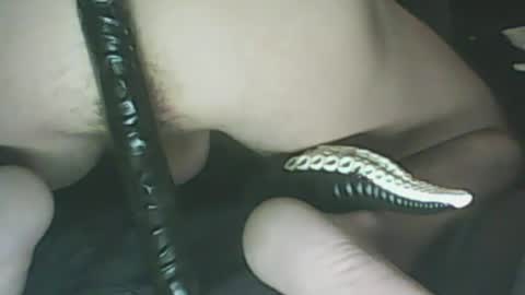 ikercheal online show from January 2025 02:10:02 PM