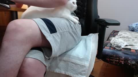 lord online show from September 2025 10:04:02 AM