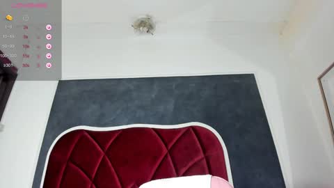 illegal_lorry online show from December 2024 10:56:01 AM