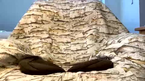 thanks for visiting online show from December 2025 04:23:02 PM