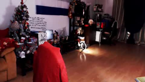 Empress online show from December 2024 03:36:01 AM