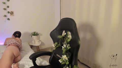 Aurora online show from November 2025 01:11:01 AM