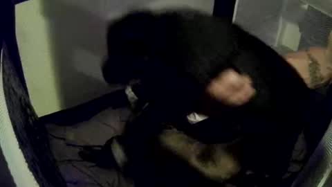 Snapshot of imtru chatting on February 2025 04:04:02 AM imtru online show from February 2025 04:04:02 AM